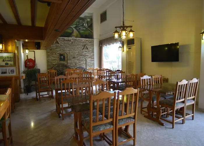 Hotel Elysso Larnaca